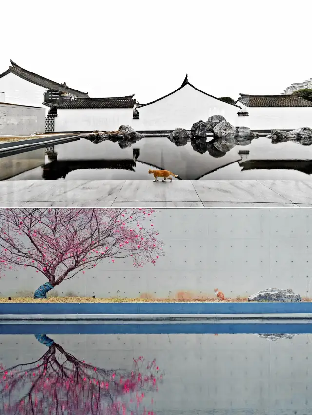 3-Day Shaoxing Itinerary