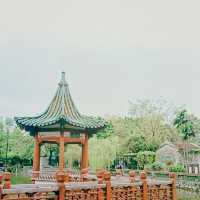 "我在東莞發現了一個隱藏的寶地，竟然這麼美！"