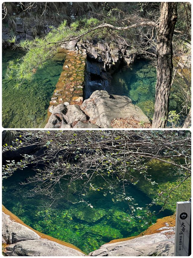 在大奇山國家森林公園偶遇“神秘生物”，你猜是啥？