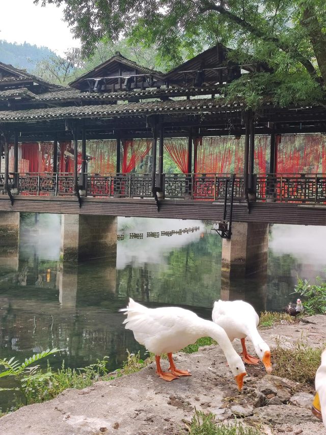 宜昌車溪民俗風景區