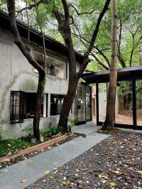 深圳新店丨華僑城隱世京都庭院美學空間
