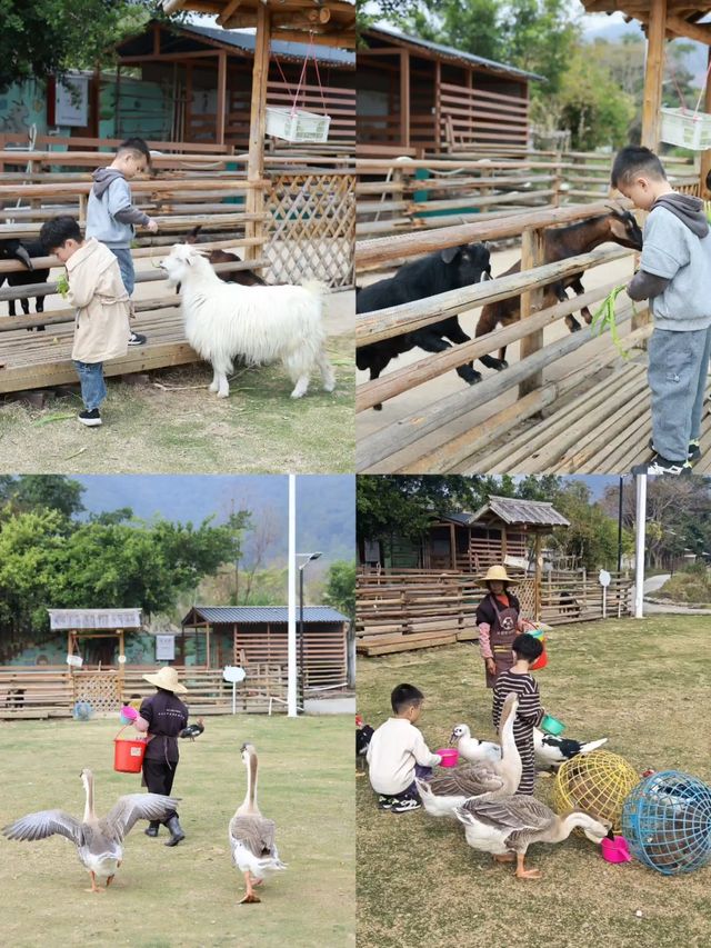 稻田間的親子私湯度假獨享私人溫泉及萌寵樂園