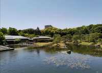 探索名古屋白鳥庭園｜欣賞自然之美