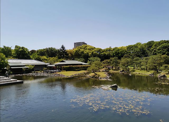 探索名古屋白鳥庭園｜欣賞自然之美