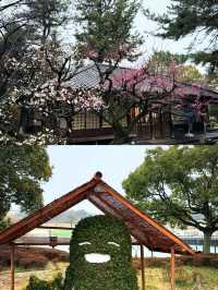 名古屋｜日本中部的寶藏之旅