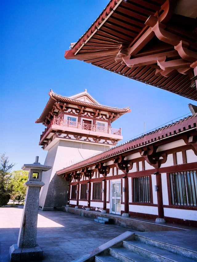 自駕青甘大環線，瓜州小城休整一下