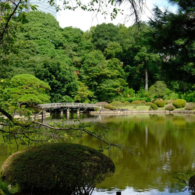 🌸東京秘境！鬧市中的皇家園林全攻略🍀