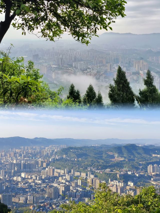達州鳳凰山公園︱城市綠肺裡的愜意探險