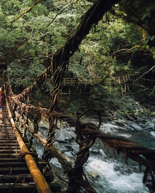 秘境探索：日本四國·祖谷溪 