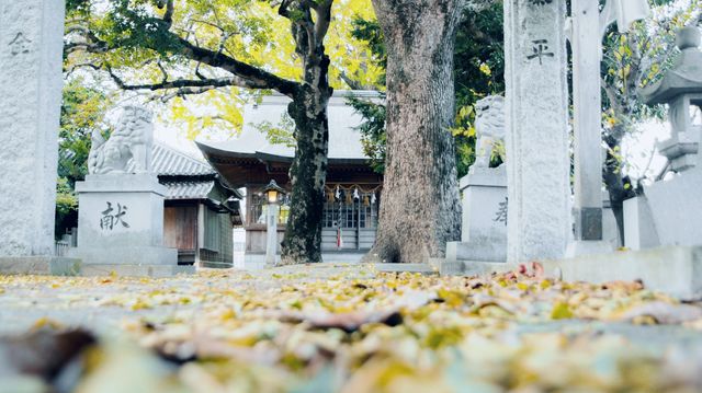 四國的寶藏秘境，用一趟旅程治癒你的心靈，一趟被低估的絕美之旅