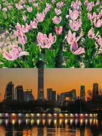 朝陽公園隱藏的秘境，99% 的遊客都錯過？