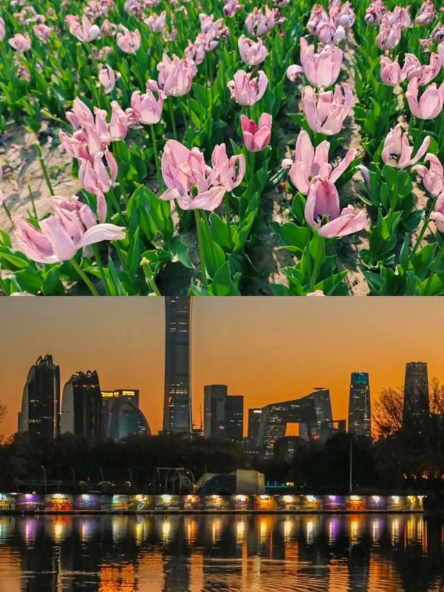 朝陽公園隱藏的秘境，99% 的遊客都錯過？