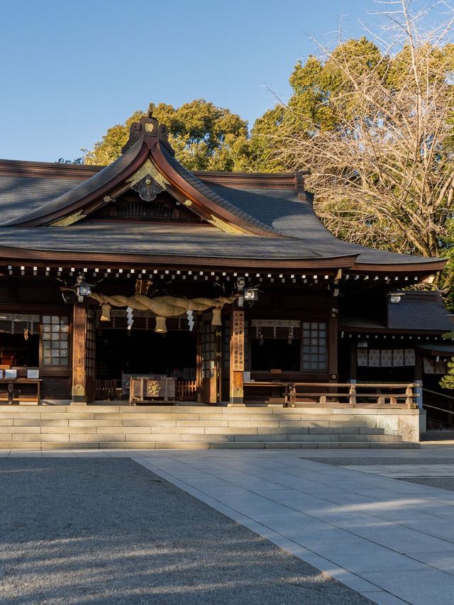 小長假遊日本 看這篇攻略就夠了