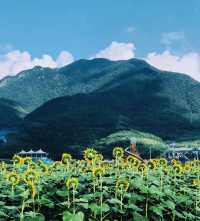 一半山水詩意，一半古鎮煙火