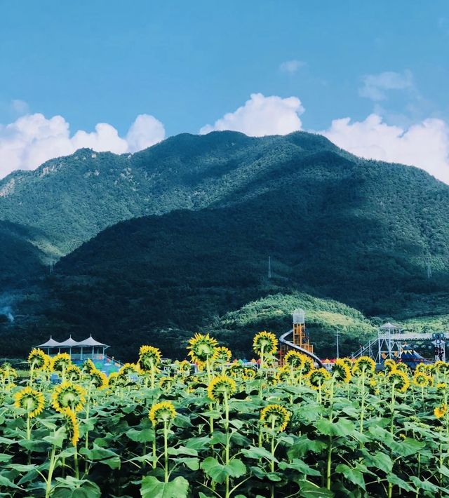 一半山水詩意，一半古鎮煙火