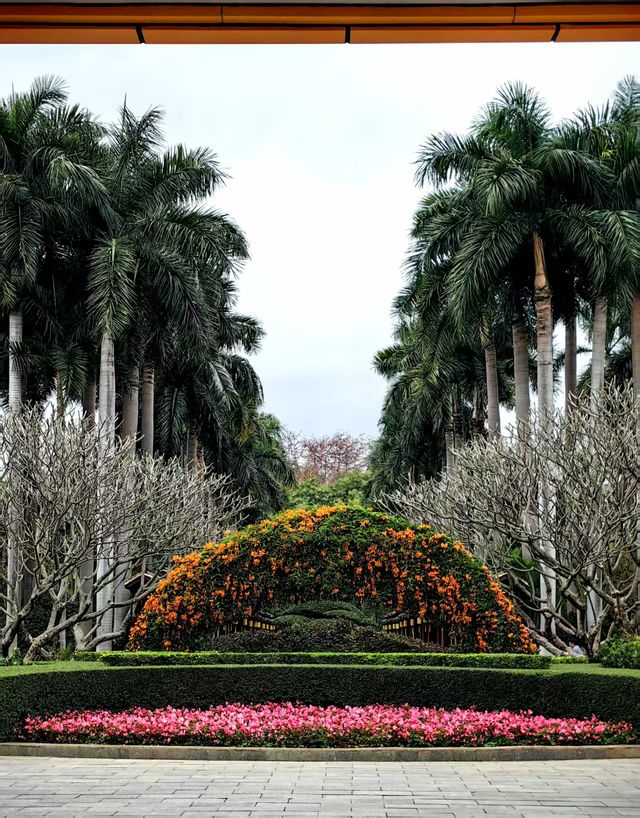 南寧寶藏小眾0元公園｜金花茶公園