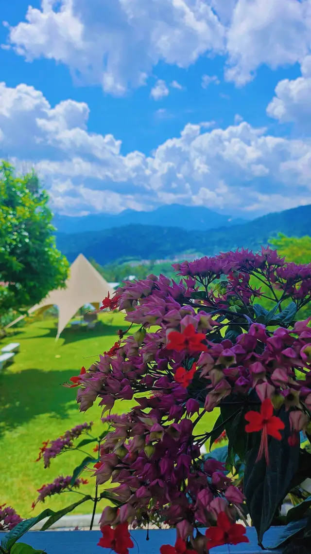 벤트롱｜2025 편하게 즐기는 완벽 가이드