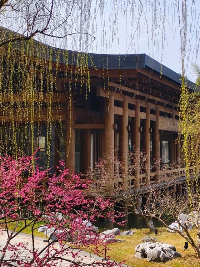 Nothing blends Modern and Traditional Architecture quite like this...