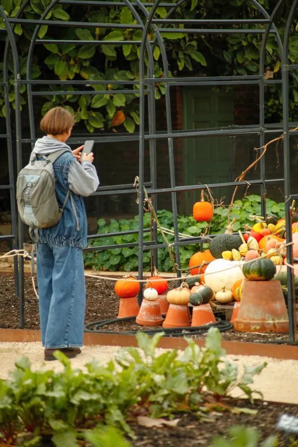 Explore Kew Gardens: A Journey into the Movies