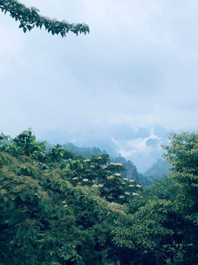 張家界-大峽谷-天門山6日遊｜超火路線和全攻略