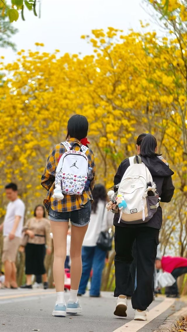 花綻乾坤•開啟一場震撼心靈的視覺盛宴！
