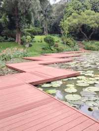 南寧人民公園，寶藏遛娃遊玩攻略