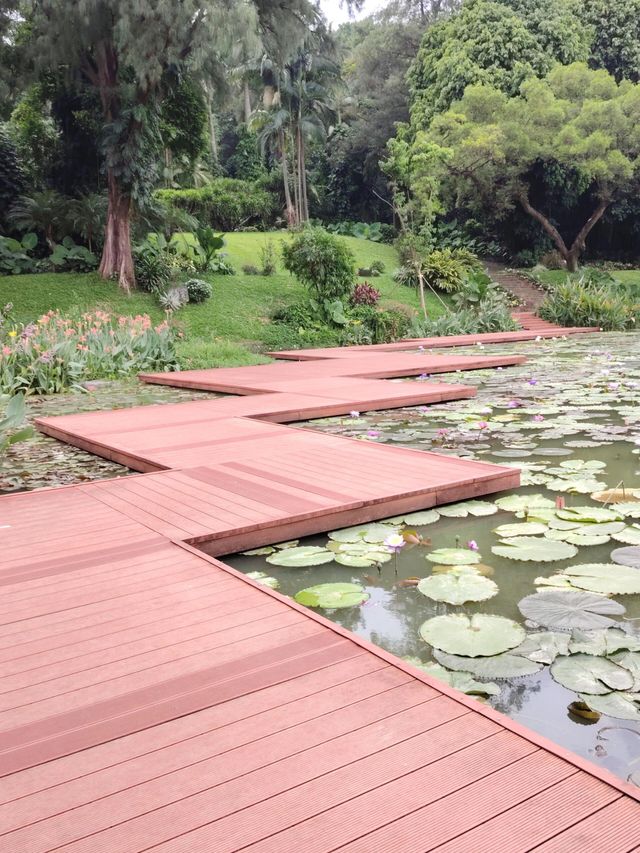 南寧人民公園，寶藏遛娃遊玩攻略