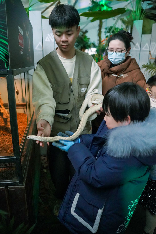 喺上海市中心摸蛇！膽小勿入
