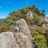 韓國聞慶市 鳥嶺山—攀登雲霧繚繞的韓劇仙境！