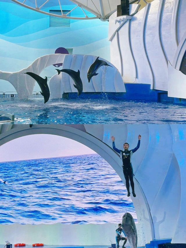 親測廣州海洋館真係好玩又好拍