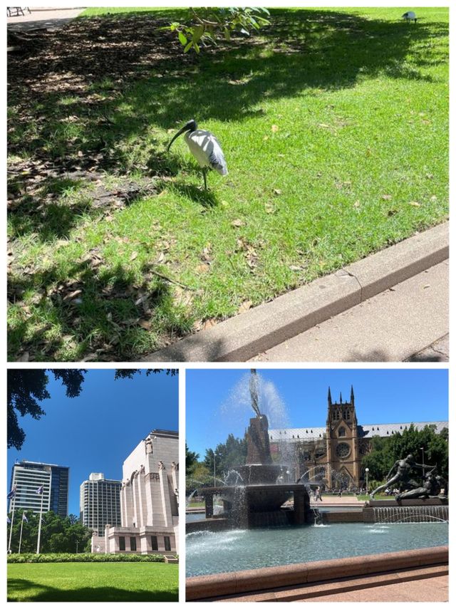 德文港 | 夢幻海濱之旅全攻略