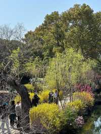 花開得正好｜週末往返無錫2日遊特種兵攻略