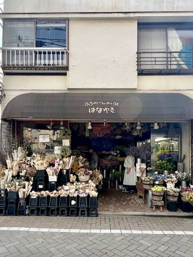 自在慢步：吉祥寺的四季詩意