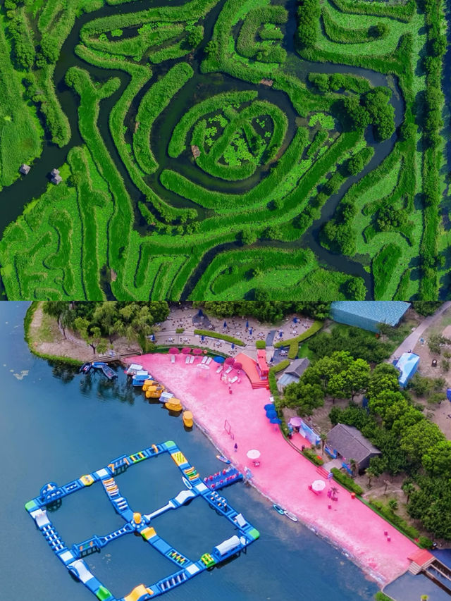 江蘇寶藏旅行地鹽城~
