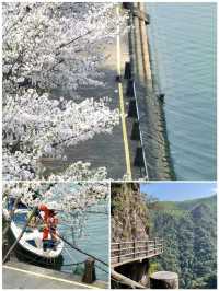 帶住小朋友喺衢州返嚟，我嘅消費觀崩塌咗
