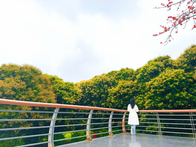 深圳打工仔續命指南！立新湖一日遊治癒了我的精神內耗