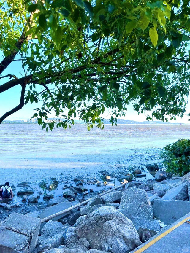 紅樹林海濱公園，超級愜意的深圳海邊綠洲✨
