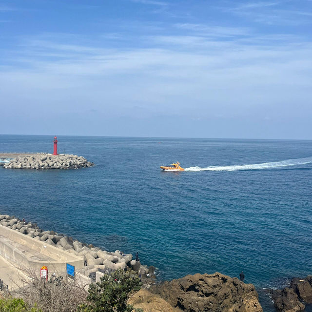 濟州島限定！彩虹公路旁的夢幻賞櫻寶藏地🌸