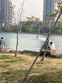 蘇州獨墅湖一日遊攻略 | 櫻花與日落交織的春日浪漫
