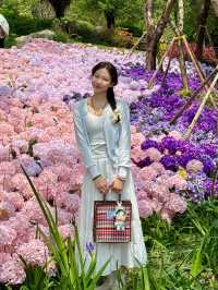 🌷珠海隱藏寶地 | 假花叢中的真小鹿奇遇✨