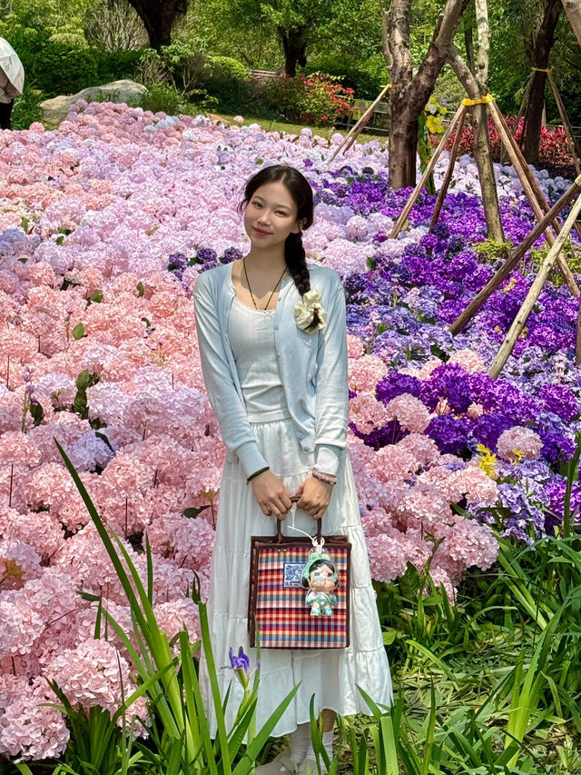 🌷珠海隱藏寶地 | 假花叢中的真小鹿奇遇✨