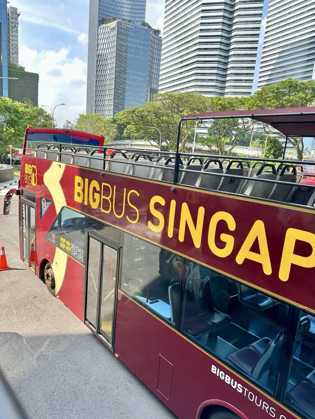 巴士之旅，城市巡禮：新加坡觀光全覽