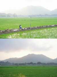 中山週末兩天一夜鄉村遊 已經是next level了