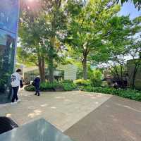 🌿東京最療癒的慢調時光｜中目黑→代官山散策筆記