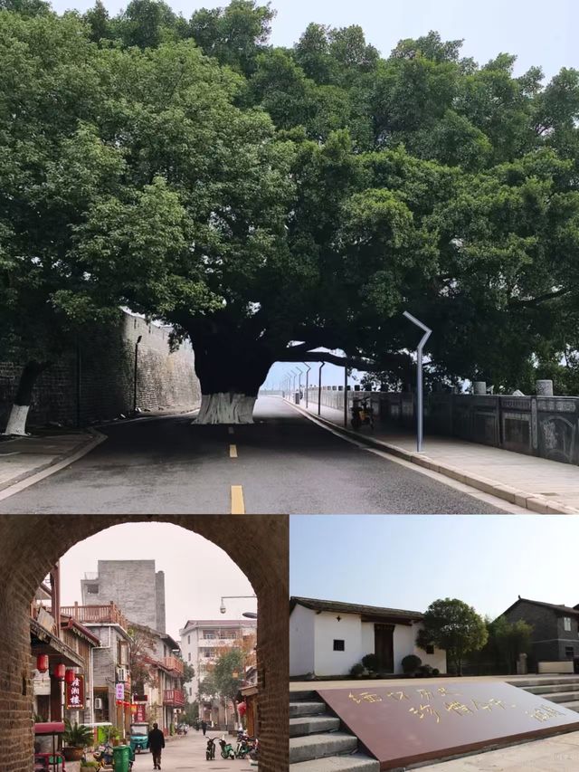 出差新發現！今次嚟吉安住到寶藏酒店！