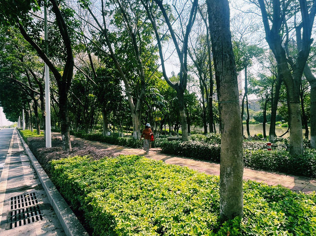 廣東省佛山市公園景點：湖心公園，適合觀光旅遊、度假休閒等！