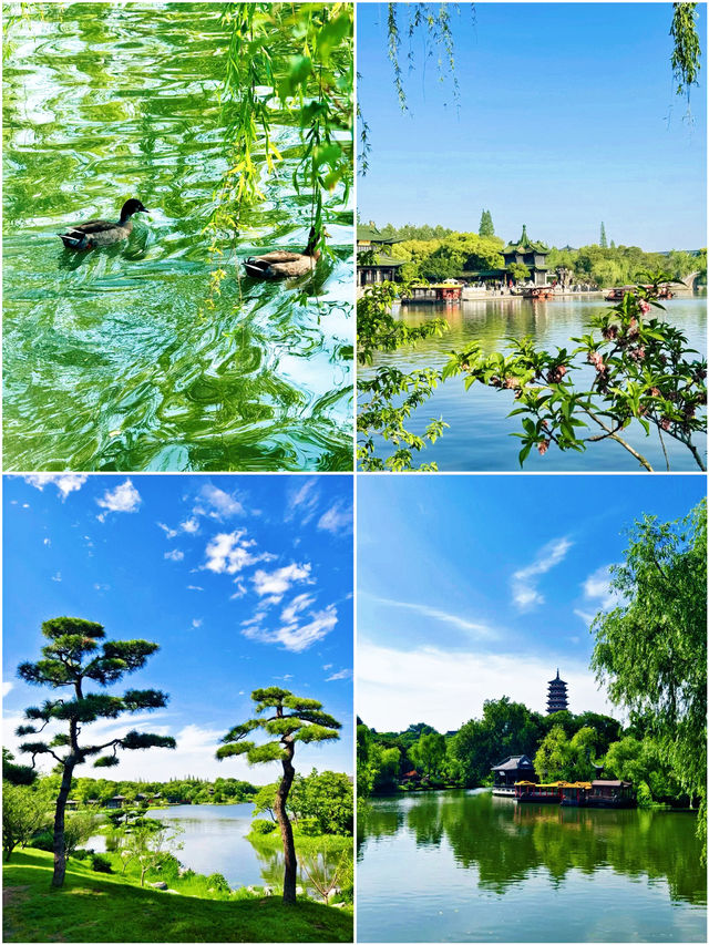 啱啱喺揚州返嚟，消費觀崩塌咗