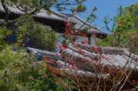 徑山寺嘅特色