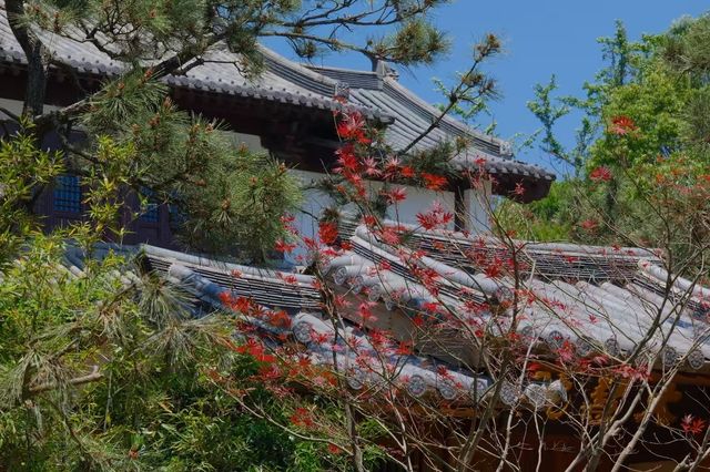 徑山寺嘅特色