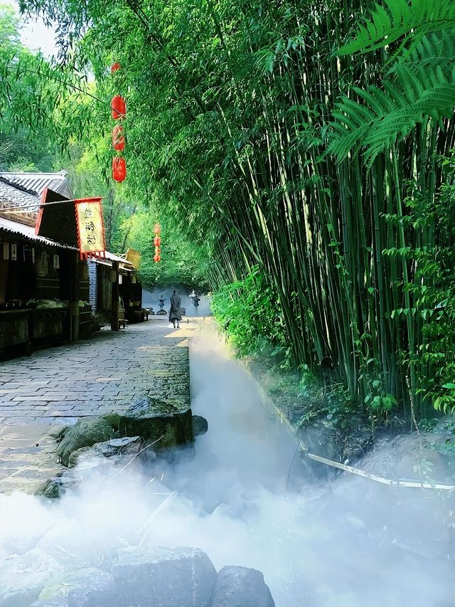 林深處起霧，竹林配古屋